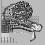 Asia with Multi-Standard 202305250128 Compound DigitalMicroscope version