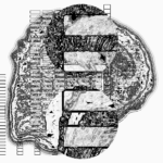 Asia with Multi-Standard 202305280521 Compound DigitalMicroscope version