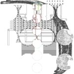 Asia with Multi-Standard 202306150051 Recursive Compound DigitalMicroscope version