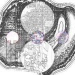 Asia with Multi-Standard 202306171328 Recursive Compound DigitalMicroscope version