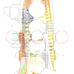 Asia with Multi-Standard 202306270304 Recursive Compound DigitalMicroscope version