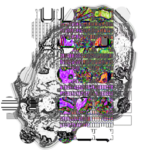 Just alive (with no particular aim) with Multi-Standard 20230531
