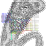 Asia with Multi-Standard 202307170759