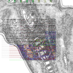 Asia with Multi-Standard 202307171620