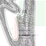 Just alive (with no particular aim) with Multi-Standard 202307162015