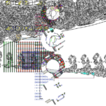 Asia with Multi-Standard 202309271445 RecursiveCompoundDigitalMicroscope version