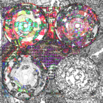 Asia with Multi-Standard 202309281928 RecursiveCompoundDigitalMicroscope version