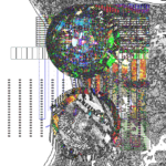 Asia with Multi-Standard 202309292043 RecursiveCompoundDigitalMicroscope version