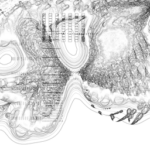 Just alive (with no particular aim) with Multi-Standard 202309011225