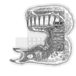 Just alive (with no particular aim) with Multi-Standard 202309021816