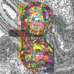 Asia with Multi-Standard 202310020157 RecursiveCompoundDigitalMicroscope version