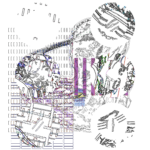 Asia with Multi-Standard 202310042041 RecursiveCompoundDigitalMicroscope version