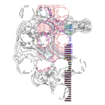 Asia with Multi-Standard 202310080047 RecursiveCompoundDigitalMicroscope version