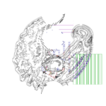 Asia with Multi-Standard 202310080645 RecursiveCompoundDigitalMicroscope version