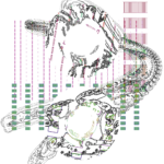 Asia with Multi-Standard 202310121739 RecursiveCompoundDigitalMicroscope version