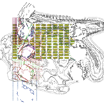 Asia with Multi-Standard 202310141348 RecursiveCompoundDigitalMicroscope version