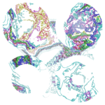 A Day in Asia 202310151210 RecursiveCompoundDigitalMicroscope version