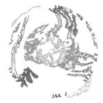 A Day in Asia 202310181408 RecursiveCompoundDigitalMicroscope version