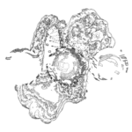 A Day in Asia 202310201250 RecursiveCompoundDigitalMicroscope version