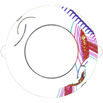 A Day in Asia 202310240233 RecursiveCompoundDigitalMicroscope version