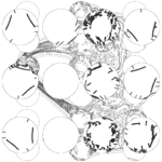 A Day in Asia 202310271532 RecursiveCompoundDigitalMicroscope version