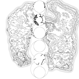 Just alive (with no particular aim) 202310250354