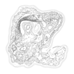 Just alive (with no particular aim) 202310300216