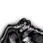 Just alive (with no particular aim) 202311232043