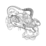 A Day in Asia 202312020950