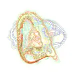 A Day in Asia 202312030858