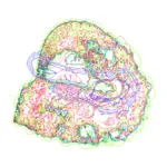 A Day in Asia 202312040627