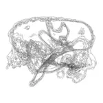 A Day in Asia 202312070919