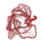 A Day in Asia 202312091706