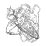 A Day in Asia 202312101335