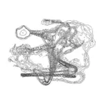 A Day in Asia 202312140805