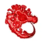 A Day in Asia 202312291240