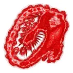 A Day in Asia 202312291246