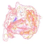 Just alive (with no particular aim) 20231204