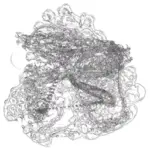 Just alive (with no particular aim) 20231212