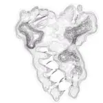 Just alive (with no particular aim) 202312210614