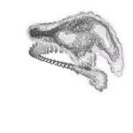 Just alive (with no particular aim) 202312220210