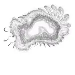 Just alive (with no particular aim) 202312240403