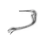 Just alive (with no particular aim) 202312240637