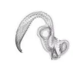 Just alive (with no particular aim) 202312251855