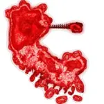 Just alive (with no particular aim) 202312271144