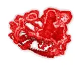 Just alive (with no particular aim) 202312272328