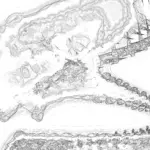 A Day in Asia 202312310515