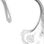 A Day in Asia 202401011044