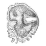 A Day in Asia 202401080425