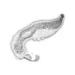 A Day in Asia 202401082255